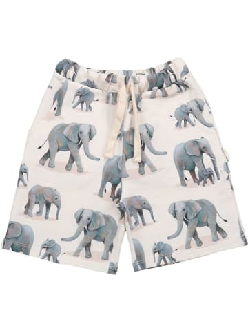 Walkiddy Shorts in Creme