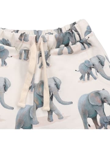 Walkiddy Shorts in Creme