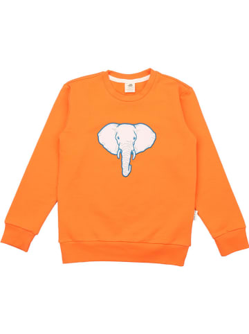 Walkiddy Sweatshirt in Orange