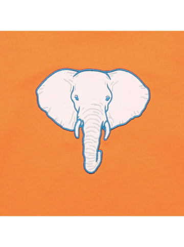 Walkiddy Sweatshirt in Orange