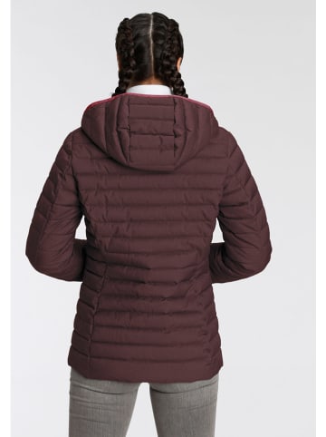 G.I.G.A. DX by KILLTEC Steppjacke in Aubergine