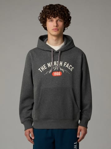 The North Face Hoodie in Anthrazit