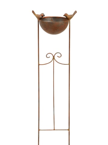 POSIWIO Rankgitter in Braun - (B)20 x (H)76 x (T)13 cm
