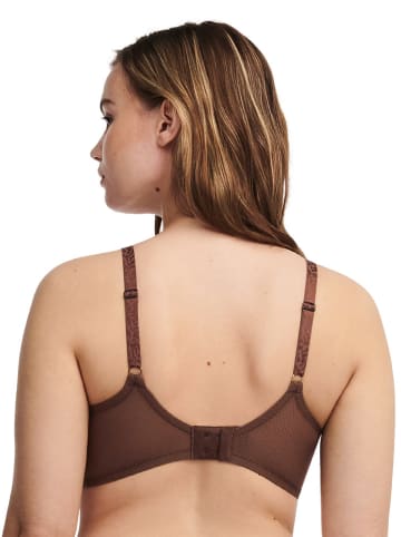Chantelle Beugelbeha bruin