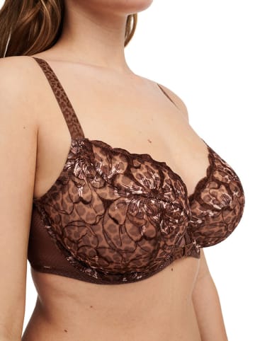 Chantelle Beugelbeha bruin