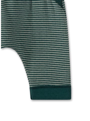Sanetta Kidswear Sweathose in Grün