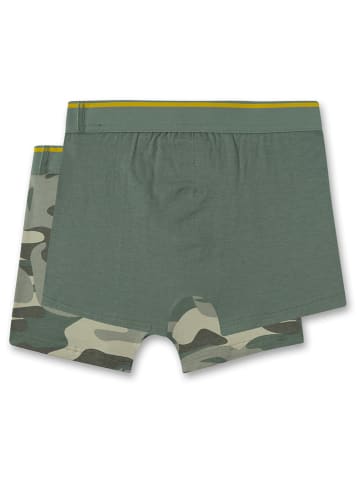 Sanetta 2er-Set: Boxershorts in Grau