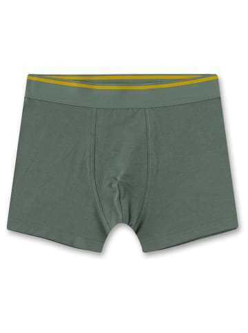 Sanetta 2er-Set: Boxershorts in Grau