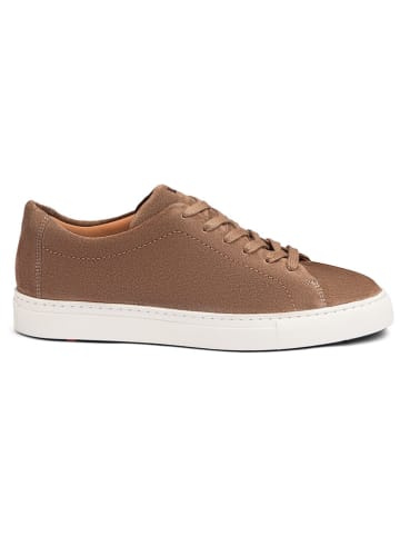 LLOYD Leder-Sneakers in Hellbraun