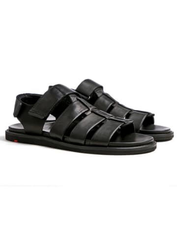 LLOYD Leder-Sandalen "Elimar" in Schwarz