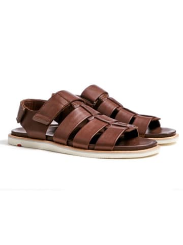 LLOYD Leder-Sandalen "Elimar" in Braun