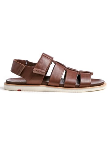 LLOYD Leder-Sandalen "Elimar" in Braun