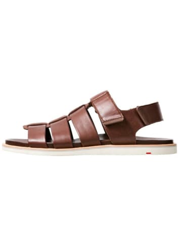 LLOYD Leder-Sandalen "Elimar" in Braun