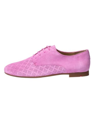 LLOYD Leren veterschoenen lichtroze