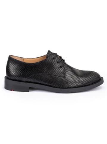 LLOYD Leder-Schnürschuhe in Schwarz