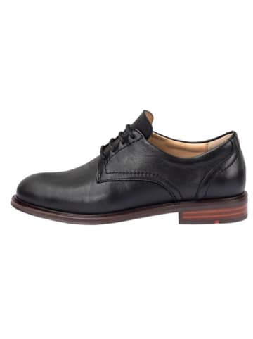 LLOYD Leder-Schnürschuhe in Schwarz
