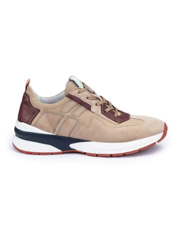 LLOYD Leder-Sneakers in Beige/ Bordeaux