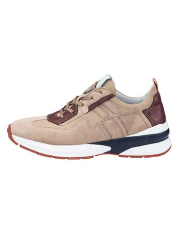 LLOYD Leren sneakers beige/bordeaux