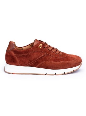 LLOYD Leren sneakers "Adron" lichtbruin