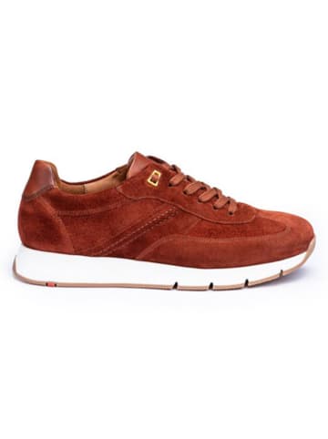 LLOYD Leder-Sneakers "Adron" in Hellbraun