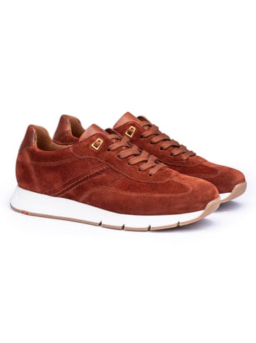LLOYD Leren sneakers "Adron" lichtbruin