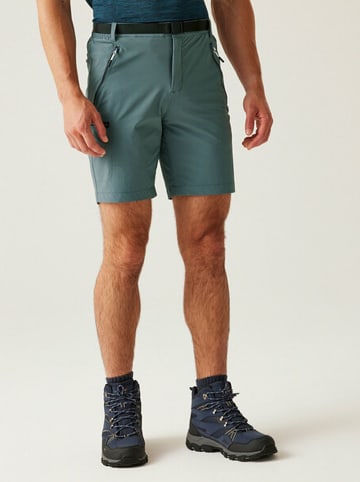 Regatta Funktionsshorts "Xert III" in Grün