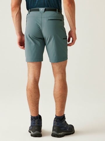 Regatta Funktionsshorts "Xert III" in Grün