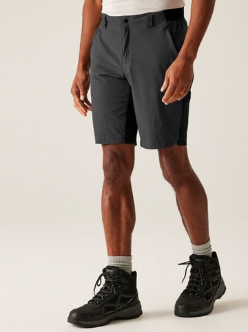 Regatta Funktionsshorts "Eldes" in Grau/ Anthrazit