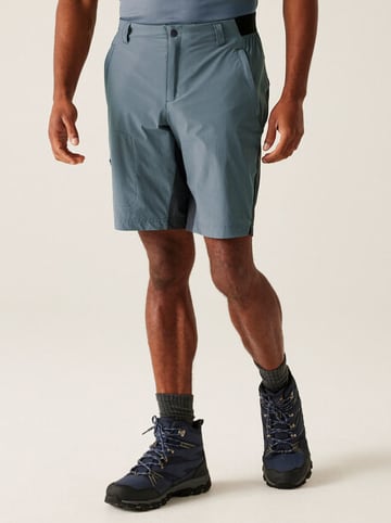 Regatta Funktionsshorts "Eldes" in Hellblau/ Grau