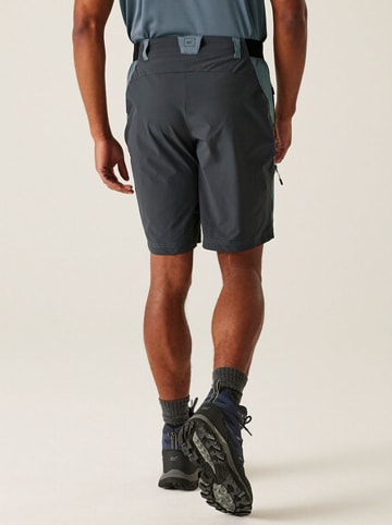 Regatta Funktionsshorts "Eldes" in Hellblau/ Grau