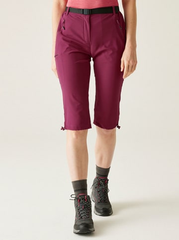 Regatta Funktionshose "Xrt Light" in Rot