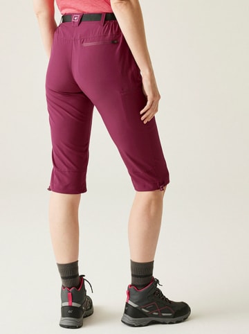 Regatta Funktionshose "Xrt Light" in Rot