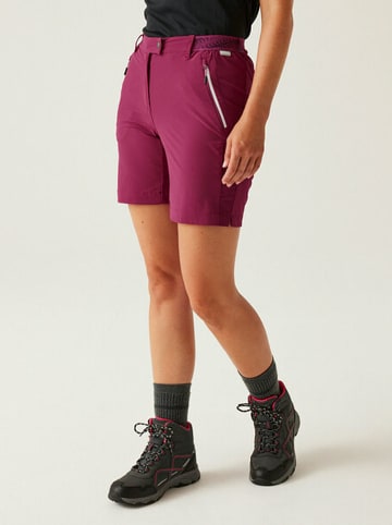 Regatta Funktionsshorts "Mountain II" in Rot