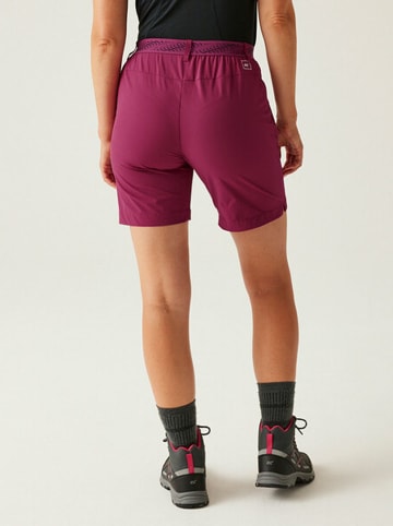 Regatta Funktionsshorts "Mountain II" in Rot