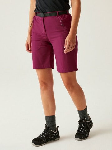 Regatta Funktionsshorts "XertStr" in Rot