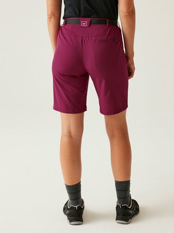 Regatta Funktionsshorts "XertStr" in Rot