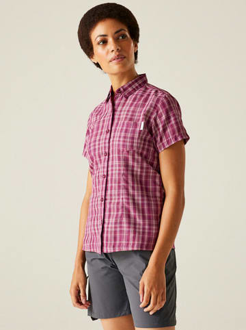 Regatta Functionele blouse "Mindano VIII" paars
