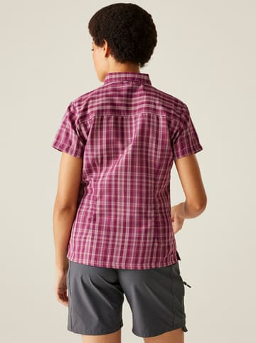Regatta Functionele blouse "Mindano VIII" paars