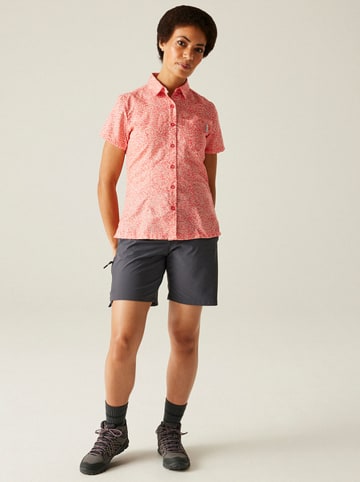 Regatta Funktionshemd "Mindano VIII" in Rosa