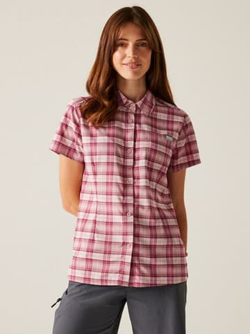 Regatta Funktionshemd "Begarno" in Pink