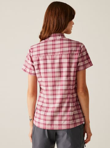 Regatta Funktionshemd "Begarno" in Pink