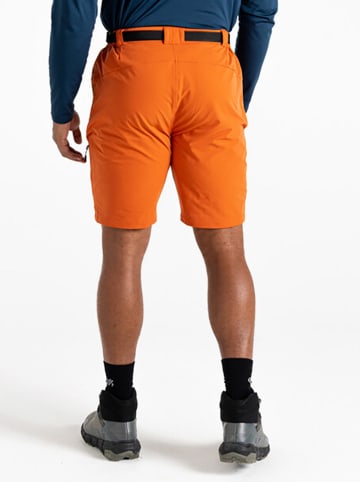 Dare 2b Funktionsshorts "Tuned In Pro" in Orange