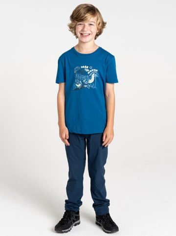 Dare 2b Shirt "Trailblazer II" in Blau