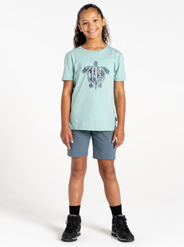 Dare 2b Shirt "Trailblazer II" in Türkis