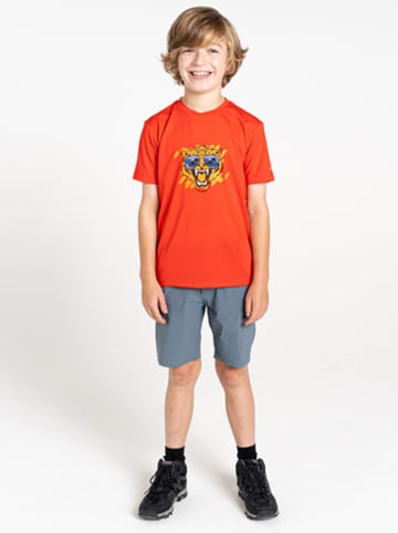 Dare 2b Funktionsshirt "Amuse II" in Orange