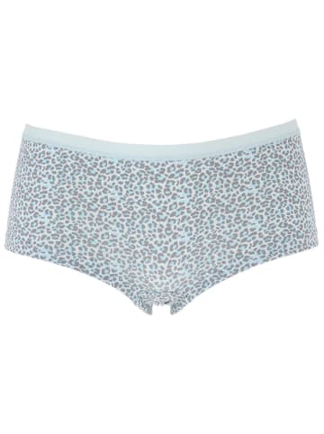 COTONELLA Panty in Türkis/ Grau