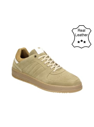 Bullboxer Leder-Sneakers in Beige