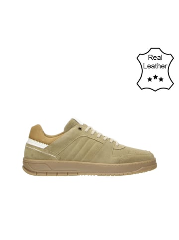 Bullboxer Leder-Sneakers in Beige