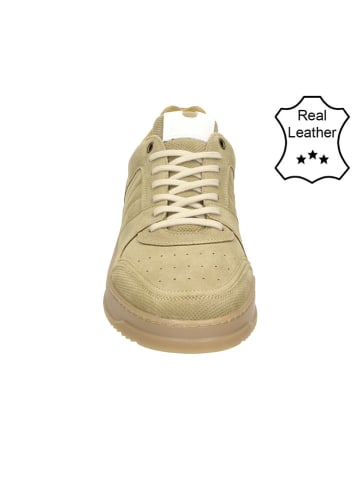 Bullboxer Leder-Sneakers in Beige