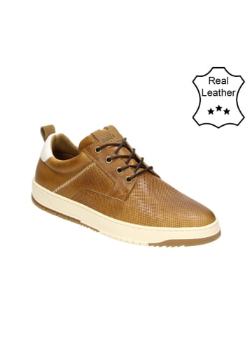 Bullboxer Leren sneakers cognackleurig